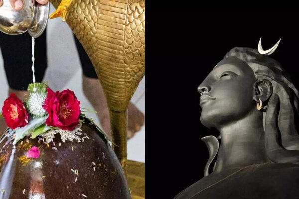 From Honey to Kalonji: 5 things to add to water before offering to Shivling