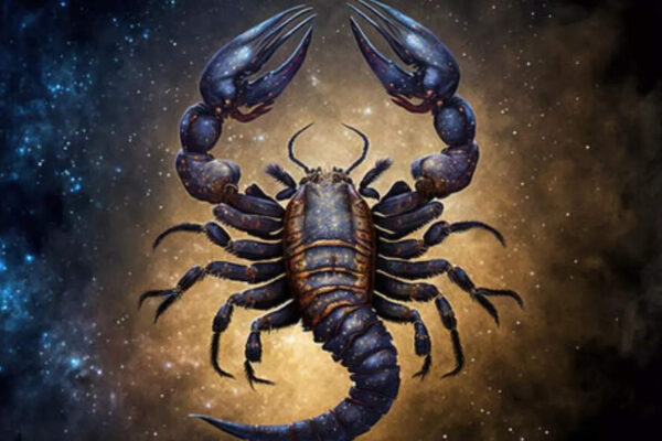 Scorpio, Weekly Horoscope, November 09 to November 15, 2025: Progress in career and finances expected