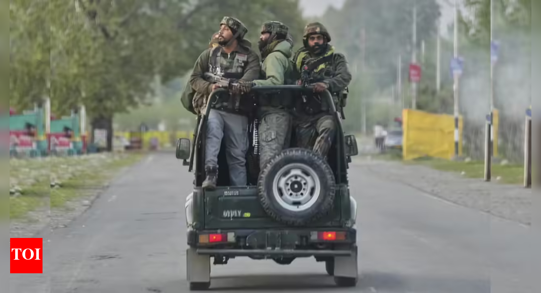 Army kills 2 on LoC amid J&K police crackdown on terrorist support systems