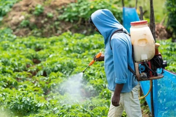 Male infertility crisis: Pesticides in food may be contributing to shrinking sperm counts