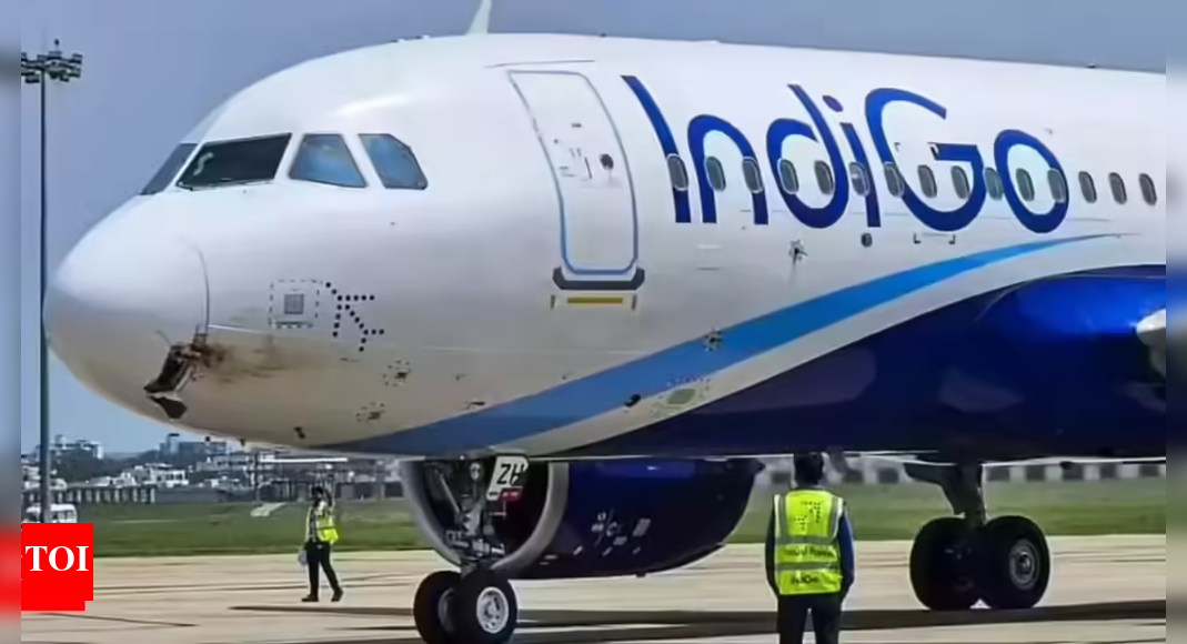 Aviation upgrade: IndiGo to roll out evidence-based pilot training; aims to boost skills, safety and decision-making