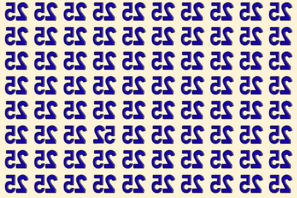 Spot the odd one out: Find the ‘inverted 52′ among ’25s’ in just 8 seconds