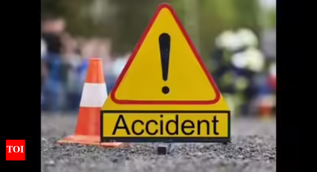 3 dead in crash as driver loses control trying to save wild boar | India News