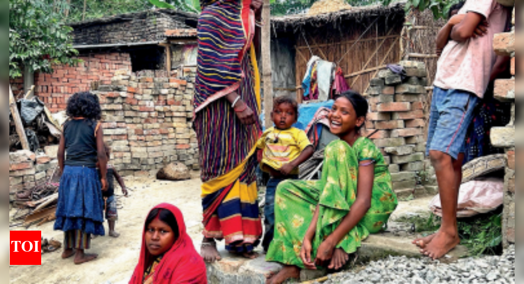 . PATNA: A child sits cross-legged on the mud floor of a dark hut. His tiny, dirty hands dip into a bowl of rice and watery lentils. Grains stick to his face as he focuses on his meal, oblivious to the harsh conditions that shape his world. Outside, the fields stretch towards the horizon, dotted with thatched huts. When the rains come, snakes from the waterlogged land slither into these homes. Some have died from snakebite here in the past. Next door, a family of seven shares a room the size of a small shop, nine-by-nine-foot. The cracked concrete roof – miraculously held together by rusted iron rods – droops in the middle. Parts of it have come loose, injuring occupants as they fell. Yet, with nowhere else to go, the family continues to live, cook and sleep under it – living in constant fear that the next collapse could prove fatal. These are pictures from a colony of Musahars, a community that makes up 3.1% of Bihar’s population. They have long lived on the edges of survival, socially and economically. One of the most marginalised among the Dalit communities, the Musahars (mus means rat) – who commonly use surnames such as Rishidev, Sada, and Manjhi – have historically faced stigma owing to their traditional occupation as catchers and eaters of rats. According to the Bihar Caste Survey 2022-23, nearly 40 lakh Musahars live in the state. Barely 0.3% of them have govt jobs. Nearly 45% live in huts, 29% in khapda or tin sheds, and 18% in one-room pucca houses. Fewer than one in a hundred own a computer or laptop – with or without internet – and 99.6% do not own any vehicle. Vivek Kumar Rai, a PhD scholar studying the Musahars of Bihar at the TERI School of Advanced Studies in New Delhi, said, “The overall condition of the Musahar community in the state has improved compared to what it was in the 1960s or 1970s, when a majority of them survived on food that was ignored by the dominant communities. In many parts of Bihar, the community remained in bondage for generations. “The Musahars now largely depend on agricultural labour and whatever work they can find. But widespread inequality persists within the Scheduled Caste category.” Many members of the Musahar community in Darbhanga, Muzaffarpur, and Samastipur told TOI that the practice of rat-eating has now become “extinct”, largely because of govt-supplied free rations that are available to most families. But in Fatehpur Bala village in Samastipur district, many Musahar families said they had to bribe officials to obtain ration cards. Rekha Devi, a young mother of four, said, “My mother-in-law receives ration, but I do not. The amount she gets is not enough for all of us.” Life, as the Musahars have known it – theirs is a community that has long suffered the scourge of untouchability and discrimination – may have changed, but mostly in form. “It’s better than it used to be,” said Hari Chandra Sada, 42, a resident of the Musahar settlement in the village, “but people still don’t want Musahars to enter their house for repair work.” Community members said they mainly earn their livelihood now as daily-wagers, with most forced to migrate to Punjab, Haryana, Tamil Nadu, and West Bengal for work. A decade ago, and for a brief period, the community found its most visible face in Jitan Ram Manjhi, a Musahar who became the chief minister of Bihar in 2014 and is now a Union minister in the NDA govt. His ascent was celebrated as a rare moment of representation for one of India’s most marginalised castes. Manjhi’s party, the Hindustani Awam Morcha (HAM), joined hands with the NDA, giving the alliance a dependable base among the Mahadalit groups. Yet, many Musahars say representation has not necessarily brought change. “Where the Musahar community is concerned, Manjhi’s rise, along with a handful of other political representatives, has been mainly symbolic,” said Tanvir Aeijaz, associate professor of political science at Delhi University’s Ramjas College. “Their leadership has not created a broader network of empowered Musahar leaders. The community’s visibility in politics has not translated into substantive policy action,” Aeijaz said. As Bihar heads into the second phase of polling, both the NDA and the opposition INDIA bloc are vying for the Musahar vote. Promises abound: jobs, housing, education, dignity. INDIA bloc leader Tejashwi Yadav has pledged “one govt job per family” and vowed to build permanent homes for those living in slums. The governing NDA, on the other hand, has promised one crore jobs, skill centres in every district, and financial assistance for marginalised groups. Both alliances have also pledged better access to education, housing, and welfare subsidies. On the outskirts of Darbhanga, in Dhoi village, about 300 Musahars live in shanties with tarpaulin roofs. Ram Narain Sadai, who lives with 10 relatives in a single room, said, “We don’t have a toilet and have to go to the fields.” Many women here still give birth at home. A handful of families received govt-built pucca houses two decades ago; most are now cracked, their roofs leaking. “The walls are giving way,” said Budhan Sadai, a labourer. “But we can’t leave them. Where will we go?” In Muzaffarpur, Vinod Manjhi, a construction worker, said a few hand pumps is all that the 400 people in his settlement have by way of water supply. “We have not received piped water connections yet,” he said. Only a few have managed to escape poverty. Bappy Rishi, a block development officer in Kishanganj district, says he’s one of the fortunate few. He said reports and surveys show that literacy among the Musahars in Bihar is only around 35%. In 2016, Bihar banned alcohol. In Musahar settlements though, the ban is mostly on paper. In Samastipur, a woman said her husband drinks every night. “After getting drunk, the men beat their wives over petty disputes. Liquor is available in the village, there is no prohibition here.” Liquor is cheap, often brewed at home, and sometimes deadly. “They drink what they can afford,” said Anil Kumar, who lives near a Musahar cluster in Darbhanga. “It kills slowly, but they keep drinking. It’s the only escape they know.”About the AuthorAlok MishraAlok Mishra. CEO at Bag2BagEnd of ArticleFollow Us On Social MediaVideosRiga Sugar Mill Revival: Locals Speak On Change And Challenges Ahead Of Bihar PollsPrez Murmu Pushes For Oil, Critical Minerals, Tech Cooperation During Angola Visit; Key MoUs signed‘Modi, Shah, Gyanesh Fear Gen Z’: Rahul Gandhi Hits Out Over ‘Vote Theft’ At Bihar RallyTeen Shoots Classmate With Father’s Pistol At Posh Gurugram Society; Victim Critical‘Peeping Into Our Residence’: Aaditya Thackeray Slams MMRDA After Drone Spotted Near Matoshree‘India Is A Continental And Maritime Power, Holds Key Role In Indian Ocean Region’: CDS Anil ChauhanPM Modi Unveils ₹8,000 Crore Projects to Boost Uttarakhand’s InfrastructureEvery Indian Shares Ancestral Roots, No ‘Ahindu’ Exists: Mohan BhagwatFormer Army Commander Warns of Rising Extremist Threat from BangladeshPM Modi Highlights Legal Reforms, Stresses Need for Law in Local Languages123Photostories5 effective and easy ways to build a stronger relationship with the boss5 national parks in India where you can spot the endangered wild dogs (dholes)5 high-protein soups you can whip up in 15 minutes or lessBirthday special: Arhaan Khan’s sweetest social media moments with mom Malaika Arora5 must-have Kashmiri winter outfitsFrom heart health to better sleep: 5 reasons why one should consume pumpkin seedsFrom not having enough money to buy a house to putting in their entire savings; Rohit Purohit and Sheena Bajaj’s white haven in Mumbai5 foods that secretly make your face bloated and what to eat insteadHow to make mornings easier before school: 10 real-life tips for moms and dads that actually work’Laal Singh Chaddha’, ‘Action Replayy’, ‘Dil Bole Hadippa!’: Bollywood remakes of Hollywood hits that failed to impress at the box office123Hot PicksStock market holidayBank HolidayBihar Election 2025Gold rate todaySilver rate todayPublic Holidays NovemberBank Holidays NovemberTop TrendingMarshawn Kneeland Cause of DeathMLB Trade RumorsMLB Trade Rumors Detroit TigersMicah ParsonsFortnite OG Butterfly Live EventMarshawn Kneeland NewsNHL Injury UpdateBO Nix WifeNew Vande Bharat ExpressIndia World Cup Cash Prize