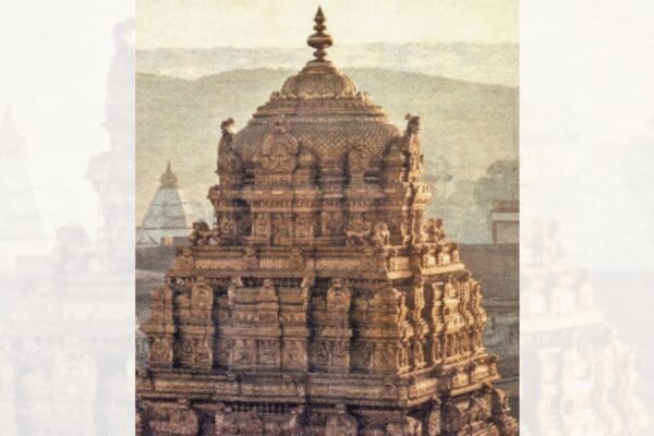 How dairy duped Tirupati trust for 5 years with 68 lakh kg fake ghee | India News