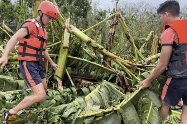 Weakening Typhoon Fung-wong exits Philippines after displacing 1.4 million