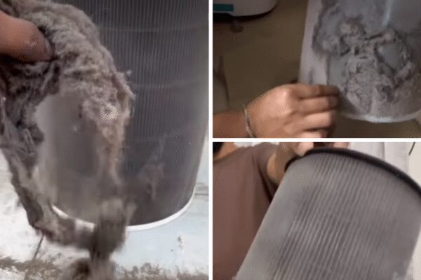 NEW DELHI: The national capital once again woke up shrouded in a grey haze on Monday, with people gasping, coughing, and complaining. For the past few days, the air quality has plummeted into the “severe” zone, making morning walks into choking marathons. Meanwhile, videos flooding social media showed air purifiers at home coated in thick layers of brown and black dust — reflecting how toxic the air has become. In one viral clip, a man is seen opening his air purifier to reveal a filter coated in thick grime, prompting thousands of horrified comments.ALSO READ: Parents, kids, activists detained during India Gate ‘clean-air protest’ in DelhiMeanwhile, residents of Delhi have taken to the streets to protest. Earlier on Sunday, people gathered at India Gate, many holding placards and inhalers, demanding immediate government action against what they called an “air emergency.”On Monday, the city’s AQI at 6.05 am stood at 346, according to the CPCB, with Bawana topping the charts at a staggering 412. The toxic cocktail of smog and falling temperatures — 11.6°C — has left Delhi and its neighbours Gurgaon and Noida trapped under a chemical fog for the fourth straight day.About the AuthorTOI News DeskThe TOI News Desk comprises a dedicated and tireless team of journalists who operate around the clock to deliver the most current and comprehensive news and updates to the readers of The Times of India worldwide. With an unwavering commitment to excellence in journalism, our team is at the forefront of gathering, verifying, and presenting breaking news, in-depth analysis, and insightful reports on a wide range of topics. The TOI News Desk is your trusted source for staying informed and connected to the ever-evolving global landscape, ensuring that our readers are equipped with the latest developments that matter most.”Read MoreEnd of ArticleFollow Us On Social MediaVideosRafales Roar, Tejas Soars, And Surya Kiran Dance Across Brahmaputra In IAF’s Guwahati Air Show’We Can’t Breathe’: Activists, Parents, Kids Held During Delhi Clean-Air Protest At India GateRiga Sugar Mill Revival: Locals Speak On Change And Challenges Ahead Of Bihar PollsPrez Murmu Pushes For Oil, Critical Minerals, Tech Cooperation During Angola Visit; Key MoUs signed‘Modi, Shah, Gyanesh Fear Gen Z’: Rahul Gandhi Hits Out Over ‘Vote Theft’ At Bihar RallyTeen Shoots Classmate With Father’s Pistol At Posh Gurugram Society; Victim Critical‘Peeping Into Our Residence’: Aaditya Thackeray Slams MMRDA After Drone Spotted Near Matoshree‘India Is A Continental And Maritime Power, Holds Key Role In Indian Ocean Region’: CDS Anil ChauhanPM Modi Unveils ₹8,000 Crore Projects to Boost Uttarakhand’s InfrastructureEvery Indian Shares Ancestral Roots, No ‘Ahindu’ Exists: Mohan Bhagwat123PhotostoriesManifest financial growth: Manifestation guru Mitesh Khatri’s guide on how to triple your salary with affirmationsWaking up with a dry, parched throat every morning? 6 reasons why it may be happening and how to cure itLucknow’s Rs 315-Crore Green Corridor Flyover: LDA to Build 2.3-Km La Martiniere–G-20 Road Link Over Gomti River for Faster Travel to Shaheed PathHow Millie Bobby Brown is setting boundaries as a young mom5 timeless eating rituals from Indian wisdom5 most deadly TikTok challenges that one should never tryWinnie-the-Pooh to turn 100 soon: Here’s what it has taught kids over the yearsNatural Ozempic in the body? Science has found a way to produce GLP-1 inside the body for lasting weight lossBollywood twin comedies from Judwaa to Duplicate filled with chaos, laughter, and double trouble5 exercises to relieve back pain at home123Hot PicksStock market holidayBank HolidayBihar Election 2025Gold rate todaySilver rate todayPublic Holidays NovemberBank Holidays NovemberTop TrendingMarshawn Kneeland Cause of DeathLenny WilkenMLB Trade Rumors Detroit TigersMicah ParsonsFortnite OG Butterfly Live EventMarshawn Kneeland NewsNHL Injury UpdateBO Nix WifeNew Vande Bharat ExpressMatt Hardy