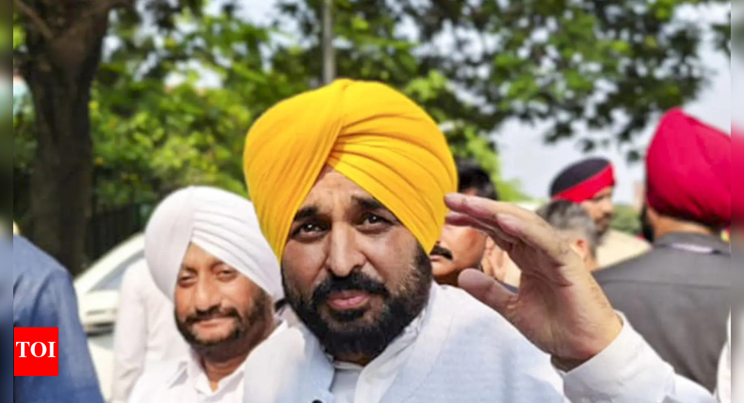 Punjab has declared November 2025 as “Martyrdom Remembrance Month” to commemorate the 350th anniversary of Sri Guru Tegh Bahadur Sahib Ji’s sacrifice. The month-long observance features daily religious programs, extensive seva camps, and medical check-ups, alongside a moral education drive for over 10 lakh students. Punjab chief minister Bhagwant Mann (Photo credit: PTI) CHANDIGARH: The Punjab government has declared November 2025 as “Martyrdom Remembrance Month” to mark the 350th anniversary of the martyrdom of Sri Guru Tegh Bahadur Sahib Ji, the ninth Sikh Guru who sacrificed his life to uphold faith, humanity, and protect the weak. The programmes began on November 1, with daily kirtan, ardas, and katha being held in gurdwaras across districts. Officials said more than 1.2 million devotees have attended so far. Over 500 seva (service) camps have been set up across Punjab, many serving daily langar (community meals). The Health Department has organised 220 medical camps where around 1.4 lakh people have received free check-ups and medicines.The Education Department has launched a “Moral Education Drive” involving more than 10 lakh students from 20,000 schools and colleges. Activities include essay writing, poster-making, and cultural programmes highlighting the Guru’s life and teachings. The state government has also released a digital documentary series on Guru Tegh Bahadur, viewed widely online.On November 10, special kirtans and ardas were held across Punjab, with large gatherings in Amritsar and Sri Anandpur Sahib. District-level control rooms have been set up to coordinate arrangements and assist devotees.Chief minister Bhagwant Mann said Guru Tegh Bahadur’s martyrdom represents the defence of religious freedom and human dignity. Seminars and discussions on “Humanity and Religious Freedom” will continue in schools and universities through the month.End of ArticleFollow Us On Social MediaVideosCar Blast Near Delhi’s Red Fort Leaves 8 Dead, Several Injured; City on High AlertPM Modi’s Bhutan Visit Turns Spiritual As Tobgay Calls Him Brother, Nation Awaits Global PrayerFaridabad Terror Plot: Woman Doctor Arrested After AK-47 Recovery, Experts Hint at Pakistan LinkMassive Car Explosion Near Delhi’s Red Fort Hours After Faridabad Terror Plot bust, Many DeadBJP Hits Out at Congress for Sidelining Tharoor After Advani Birthday WishPM Modi To Join Global Peace Prayer Festival As India-Bhutan Ties Reach New HeightsTop Bengaluru Jail Official Transferred, 2 Suspended After Viral Videos Spark Outrage23-Year-Old Indian Student Dies In Texas; Family In Andhra Pradesh Appeals For Help To RepatriateEx-RBI Chief Raghuram Rajan Blasts US For Discriminatory Tariffs, Calls Modi-Trump Relation HollowMost-Wanted Indian Gangsters Caught; Sangwan And Bishnoi Networks Face Big Setback in US, Georgia123PhotostoriesThese 5 animals are the largest to have roamed the Earth (One is still lives today)4 foods to combine with Kiwi for a power-packed breakfast4 reasons to use Kusha Grass in daily puja ritualsDelhi Red Fort car blast: How a sudden explosion turned Delhi evening into chaos and fear5 trending Mangalsutra design ideas every modern bride should know about6 reasons why the humble bathua deserves a place of respect in global kitchens10 baby names that mean happiness in different languagesExclusive – From being a part of creative team to working with Shah Rukh Khan in Dil Toh Pagal Hai: Balvinder Singh Suri aka Roshan Sodhi of Taarak Mehta Ka Ooltah Chashmah on his journeyFrom Yam (Jimikand) to Colocasia (Arbi): 9 types of root vegetables found in IndiaNatasha Poonawalla to Nimrit Kaur: Today’s celebrity fashion moments you can’t miss123Hot PicksBihar Election CandidatesBihar Election ConstituenciesBihar Election 2025Gold rate todaySilver rate todayPublic Holidays NovemberBank Holidays NovemberTop TrendingHafiz SaeedHailee SteinfeldVanessa BryantMarshawn Kneelands GirlfriendMichael Willis Cause of DeathCharlie KirksJuan SotoCandace OwensMLB Trade RumorsMatt Hardy