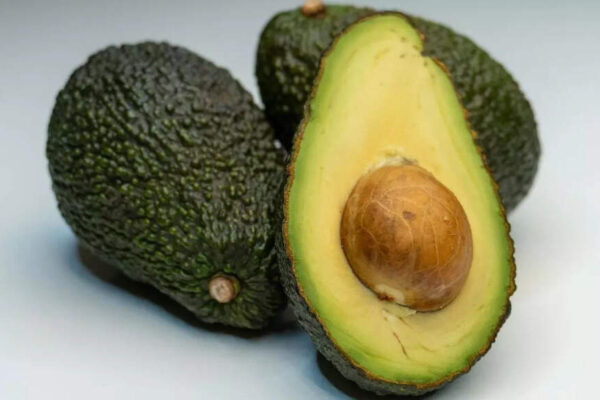 How to keep avocados fresh: Simple ways to make them last longer at home |
