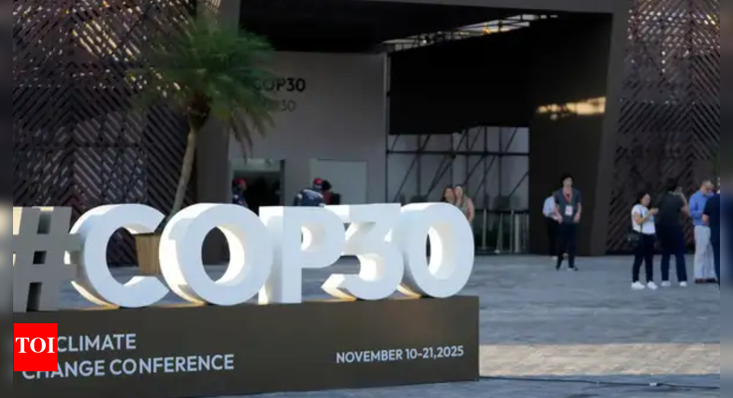 COP30 kicks off in Brazil, focus on mobilising .3 trillion finance | India News