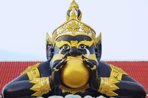 How to remove the negative effects of Rahu and Ketu?