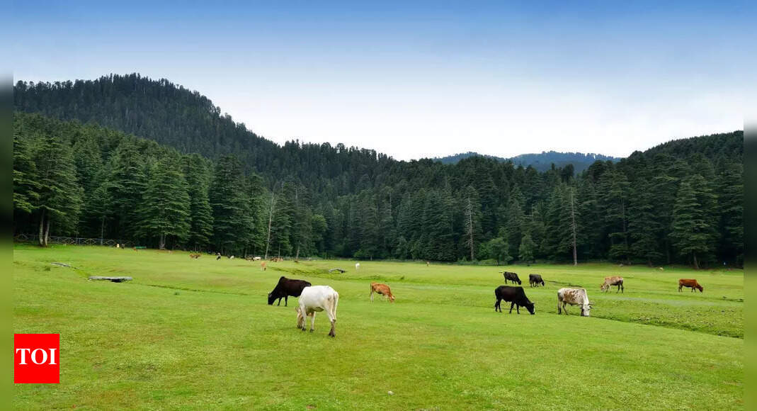 Which place is known as the Switzerland of India? Exploring the cultural and natural charm of Khajjiar |