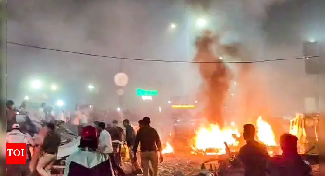 Red Fort car blast: No school closure notice issued by the Delhi government yet