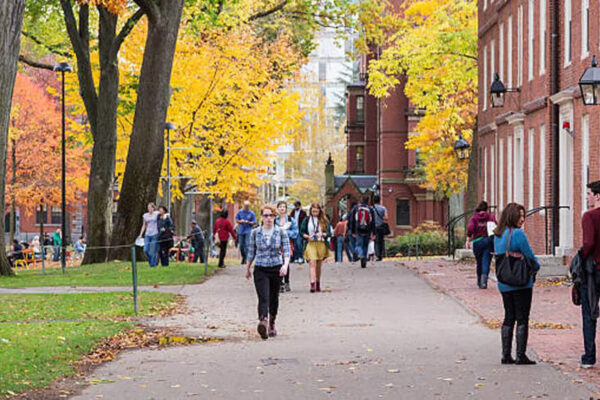 Falling revenues force Cambridge to reassess education and public spending priorities