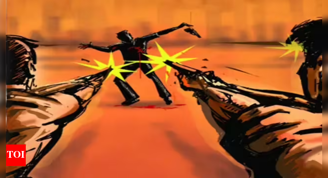 . In a joint operation, the Meerut STF unit and Moradabad police shot dead two wanted criminals — Mohd Asif alias Tidda, 32, and his aide Deenu, 30 — in an encounter in Moradabad on Monday night, said police.End of ArticleFollow Us On Social MediaVideosMaha Gajraj Exercise: IAF Conducts Highway Landing Operations Near Barmer-Jalore Border12 Killed In Car Bomb Blast In Islamabad; PM Sharif Blames ‘India-Sponsored Terrorist Proxies”Hunt Down Every…’: Amit Shah Says Delhi Car Blast Culprits To Face ‘Full Wrath Of Agencies’Bihar Exit Polls 2025: Poll of Polls Show NDA Poised For Majority, MGB Trails, No Impact of JSP’Op Sindoor Taught Us…’: Army Chief Dwivedi On Role Of Modern Tech In Warfare At Cavalry Seminar‘We Love India’: Bhutan King Reaffirms Ties As PM Modi Unveils Connectivity, Energy BoostBangladesh Elections: Awami League, BNP Allege Lawlessness Under Yunus, Fear Violence In PollsIndia Tells UNSC To Enforce Zero-Tolerance On Terror Strictly Hours After Delhi Blast Kills Twelve’No Silver Medals In War’: CDS Chauhan Highlights India’s Technological Leap Amid Rising ThreatsLucknow Doctor Tasked By JeM To Form Women’s Terror Wing In India, Police Link To Delhi Blast Probe123PhotostoriesThe most effective exercise to lower HbA1c level in a diabetic person5 animals that can float on water and some even runIndian designers who are ruling international fashion weeksDiabetes reports normal? 5 hidden, unusual signs blood sugar is not in control and what to do about itDirectors’ daughters shine as they carry forward a legacy of talent3 popular breakfasts you should stop giving your kids and whyExclusive – Bigg Boss 19: From addressing his romantic link-up with Ashnoor Kaur, Pranit More evicting him to ex-wife’s cheating allegations on him: Abhishek Bajaj breaks silenceMantra You Should Chant According To Your Birth DateFunny parenting quotes every tired mom and dad will relate toFathers who feel deeply: Rare and underrated quotes about modern dads123Hot PicksBihar Election CandidatesBihar Election ConstituenciesBihar Election 2025Gold rate todaySilver rate todayPublic Holidays NovemberBank Holidays NovemberTop TrendingDonald TrumpJaire AlexanderMLB Trade RumorsStephen Curry WifeJalen GreenMichael Willis Cause of DeathNHL Injury UpdateStephen CurryCandace OwensMichael Duarte Cause of Death