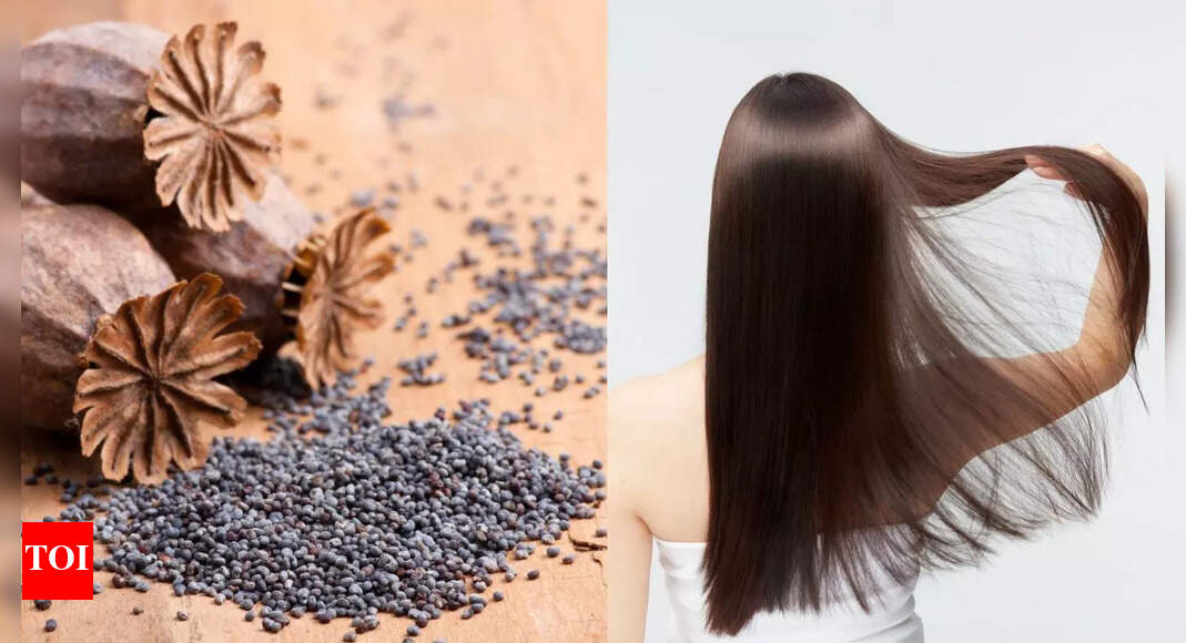 Poppy seeds (khus khus) for hair: The secret to restoring shine and moisture naturally |
