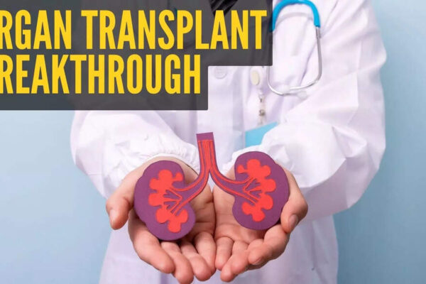 Scientists unlock ‘genetic key’ that could end organ shortages for transplant patients |