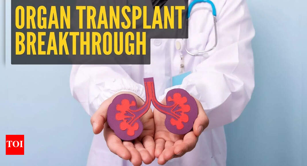 Scientists unlock ‘genetic key’ that could end organ shortages for transplant patients |