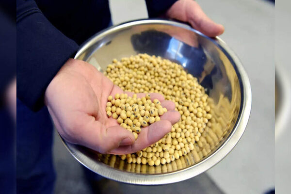 US-China tensions: Beijing brimming with soybean after Trump-Xi meeting – Why it is still not a green flag for Washington