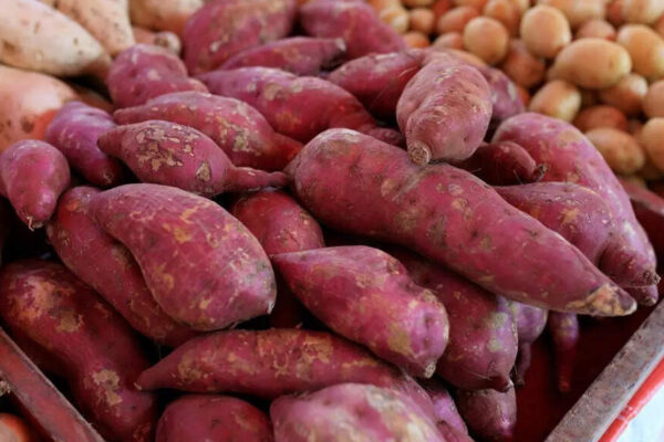 Health benefits of sweet potato skin: How eating it supports gut, heart, and eye health |