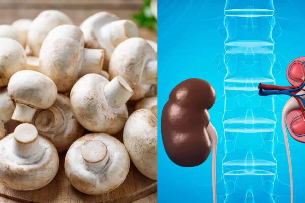 Mushrooms may not be safe for your kidneys: What to eat, avoid, and how to stay safe |