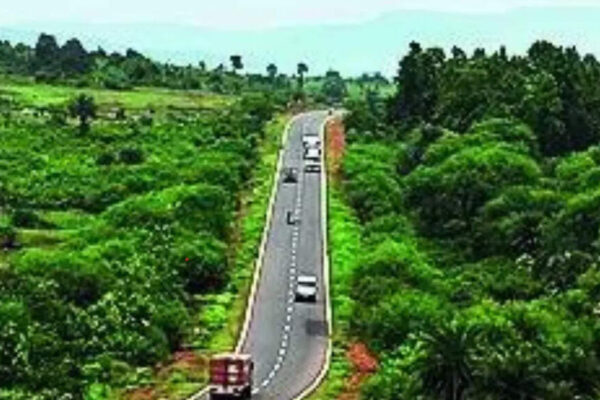 Notify Saranda as sanctuary in 3 months, SC tells Jharkhand