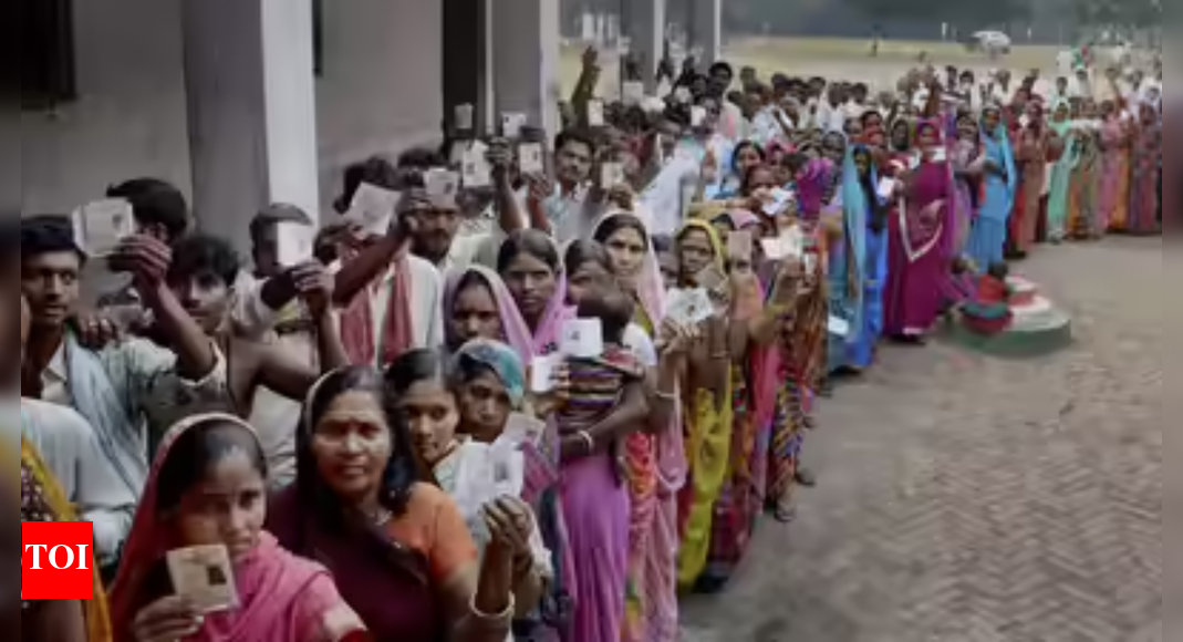 Lauriya constituency in Bihar’s Paschim Champaran gears up for a spirited electoral battle in 2025, featuring BJP’s Vinay Bihari, VIP’s RK Pratap Singh, and Jan Suraaj’s Sunil Kumar. BJP has dominated this seat in recent polls, with Bihari securing victories in both 2020 and 2015. File photo  NEW DELHI: BJP’s Vinay Bihari has moved ahead in the initial trends, with VIP’s RK Pratap Singh and Jan Suraaj’s Sunil Kumar trailing behind him. The seat, part of the Valmiki Nagar parliamentary constituency and a General category assembly segment, has historically been shaped by fierce BJP–RJD contests. In the 2020 Assembly elections, Vinay Bihari of BJP won with 77,927 votes, defeating RJD’s Shambhu Tiwari, who secured 48,923 votes, by a margin of 29,004 votes. In 2015, Bihari also retained the seat, polling 57,351 votes against RJD’s Ran Kaushal Pratap Singh, who got 39,778 votes, winning by 17,573 votes. The constituency has largely remained under BJP control in recent elections.Key candidates: CandidatesParty VotesVinay BihariBJPRK Pratap Singh VIP Sunil Kumar Jan Suraaj According to People’s Insight, the NDA is projected to win between 133 and 148 seats, while the Mahagathbandhan could secure 87–102 seats and other parties are expected to claim 3–6 seats.The Election Commission reported a 68.52 per cent turnout in the second phase of polling across 122 constituencies as of 5 pm on Tuesday.About the AuthorTOI News DeskThe TOI News Desk comprises a dedicated and tireless team of journalists who operate around the clock to deliver the most current and comprehensive news and updates to the readers of The Times of India worldwide. With an unwavering commitment to excellence in journalism, our team is at the forefront of gathering, verifying, and presenting breaking news, in-depth analysis, and insightful reports on a wide range of topics. The TOI News Desk is your trusted source for staying informed and connected to the ever-evolving global landscape, ensuring that our readers are equipped with the latest developments that matter most.”Read MoreEnd of ArticleFollow Us On Social MediaVideosDelhi Blast: Security Forces Demolish House of Red Fort Bombing Accused Umar Nabi in Pulwama‘Not An Apologist For BJP’: Shashi Tharoor On Row Over Backing Modi Govt During Op SindoorPune Road Accident: At Least 6 Dead, Several Injured After Truck Rams Multiple Vehicles’Message to world’: Amit Shah vows strictest punishment for Delhi Terror Attack culpritsAfghanistan FM Muttaqi Slams Pakistan’s ‘Illogical’ Demands After Talks Collapse In TurkeyMultiple IEDs, 32 Vehicles: Agencies Uncover Plan For Serial Car Explosions In Delhi Blast Probe30,000 Troops, 25 Warships, Fighter Jets: India Concludes Tri-Service Drill Trishul | Op Sindoor 2.0Muhammad Yunus Sets February 2026 Election Date For Bangladesh Along With Referendum On July CharterProject Cheetah Boost: President Murmu, Duma Boko Attend Handover in GaboroneDramatic Drone Chase Catches Attacker Who Fled Amravati Wedding After Stabbing Groom With Knife123PhotostoriesDiabetes: The first signs your eyes might be warning you about diabetes10 Myths about parenting and raising kids’ parents need to stop believing right nowHappy Children’s Day 2025: Healthy habits every child should be taught earlyWhat happens to your body when you sleep less than six hours a night?Rudraksh You Should Wear According To Your Birth DateFrom box office disasters to cult legends: The forgotten Bollywood films that rose againWorld Diabetes Day 2025: 7 foods to help reverse type 2 diabetes5 best jewellery metals that are safe for sensitive skinDesk jobs and diabetes: The hidden health cost of the corporate lifestyleGestational diabetes: What every expecting mother should know123Hot PicksBihar Election CandidatesBihar Election ConstituenciesBihar Election 2025Gold rate todaySilver rate todayPublic Holidays NovemberBank Holidays NovemberTop TrendingBihar Election CandidatesAndy ReidGabrielle UnionAyesha CurryAja WilsonNico HarrisonKayla NicoleLamar JacksonNHL Trade RumorsDavid Kampf