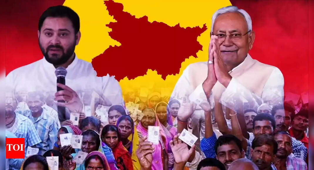 Bihar Election Results 2025: Top 10 winners and losers