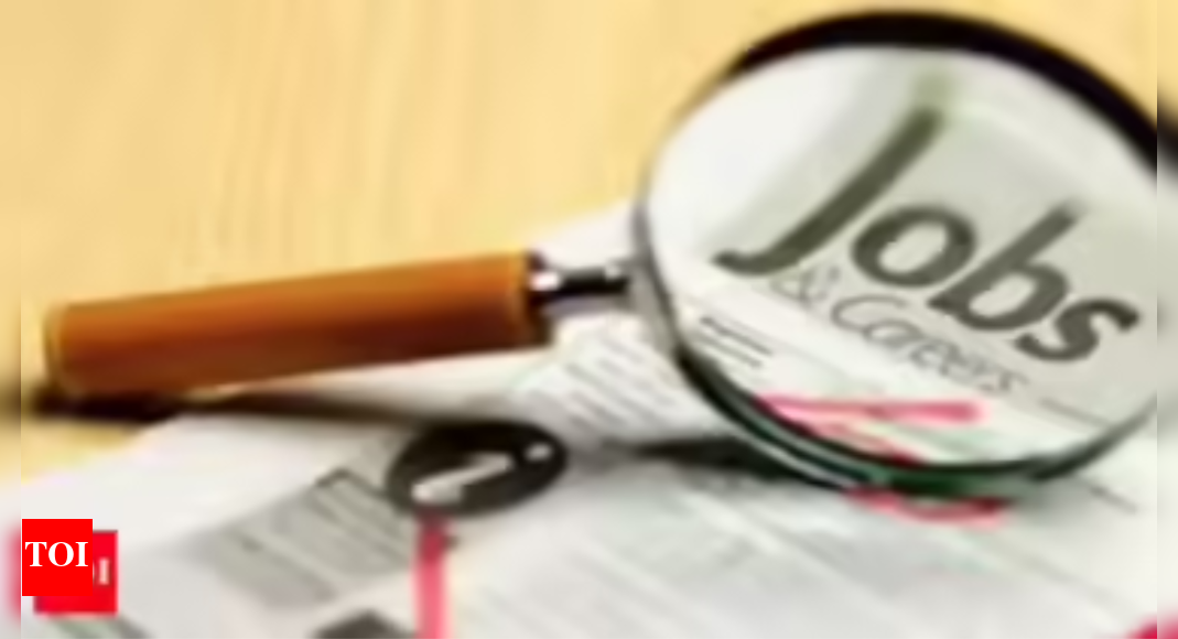 Hiring momentum: India Inc steps up recruitment in 2025; big firms drive gains as demand picks up