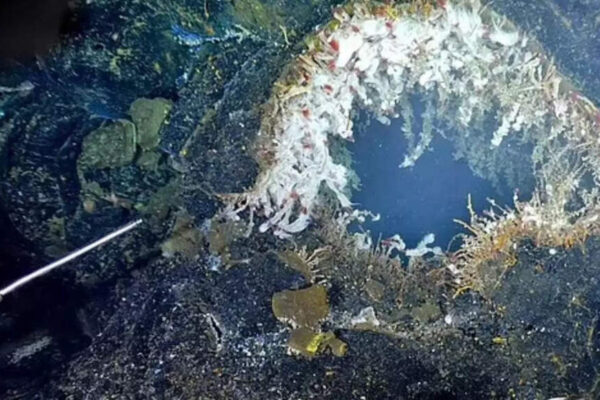 Axial Seamount may erupt by 2026: Uncovering the hidden dangers of Oregon’s most active underwater volcano