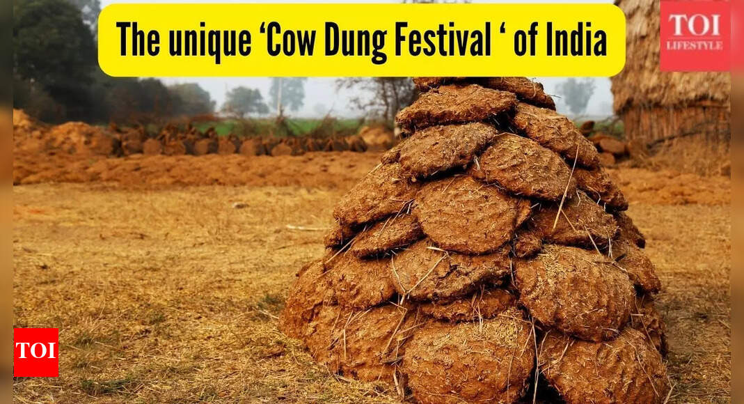 This village in South India celebrates a unique ‘cow poop festival’ every year |