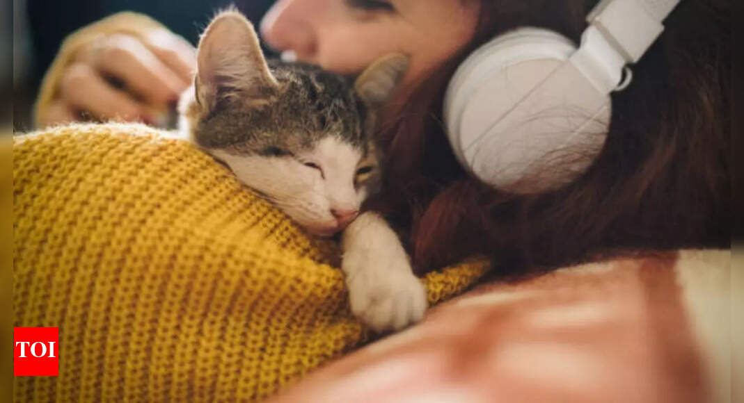 5 reasons why your cat sleeps on you and what it really means |