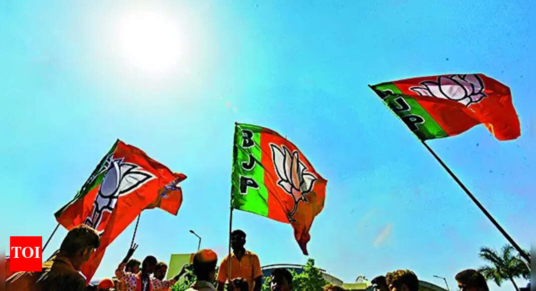 12 NEW DELHI: After a brief pause during intense campaigning for Bihar polls, attention has swiftly turned to one of the BJP’s longest-pending decisions – the election of a new national president to succeed J P Nadda.The Bihar polls, which saw NDA secure a landslide victory with over two-thirds majority in the 243-seat House, have not only boosted party morale but also accelerated talks about internal leadership transitions.The first indication of the possibility of the transition coming soon was seen on Thursday when organisational poll in-charge K Laxman, a Rajya Sabha MP and head of party’s OBC Morcha, was seen holding consultations with colleagues at the party headquarters.Nadda has been at the helm of the party since Jan 2020. His initial three-year term was repeatedly extended – first until June 2024 for Lok Sabha elections, and then again amid organisational delays – to ensure stability during key electoral battles. Nadda’s tenure officially ended last year, but extensions have kept him in place, leading to growing impatience within the ranks.BJP’s constitution mandates a structured process for electing a new president. Organisational polls must first be completed in at least half of the party’s 37 state units – requiring elections in 19 states – before the national election can proceed. As of mid-2025, the party had crossed this threshold by appointing new state chiefs in key regions like Maharashtra, Uttarakhand, Telangana, Andhra, Puducherry, and Mizoram. However, indecision persists in UP.Sources have indicated that a leader in his early fifties, with organisational experience, will be given the responsibility to helm the party with a long term vision.The party has already made the transition in the states, districts and at mandal level as most of office-bearers appointed recently are below 50 years of age. Sources have indicated that the leadership transition will be followed by the first Cabinet reshuffle of PM Modi’s third term.Several names – including those of Union ministers Manohar Lal Khattar, Shivraj Singh Chouhan, Dharmendra Pradhan and Bhupender Yadav – had been doing the rounds. End of ArticleFollow Us On Social MediaVideos‘Bihar’s New MY Formula Is Mahila & Youth’: PM Modi Targets RJD-Congress After NDA’s Landslide Win‘Too Big To Fail’: South African Envoy On Trump’s G20 Boycott, Says PM Modi’s Presence Crucial‘Misa-Priyanka Ko Dickey Mein…’: Yashwant Deshmukh’s Message to RJD–Cong After NDA’s Bihar WinAir India Bombing Returns To Spotlight, CSIS Warns Canada Of New Extremist Networks And Rising RisksSix Ways Nitish Kumar Proved ‘Tiger Abhi Zinda Hai’ As NDA Registers Big Win in Bihar Assembly Polls‘Full Stop to Many Questions’ Chirag Paswan Hails PM Modi, Nitish as NDA Soars Past 200 SeatsKerala Teenager Dies in Dubai After Rooftop Fall While Trying To Take Photos of Low-Flying PlanesPakistan’s Costly Lobbying Blitz Won Access To Trump As India Faced The Harshest Tariffs, Claims NYTChilling Terror Attack Masterplan: How Medical Professionals Built A 5-Step Nationwide Bombing PlotBihar Assembly Poll Results: NDA Touches 200-Seat Lead, Congress Intensifies SIR, Vote Chori Attacks123Photostories5 trending white gown designs for a traditional Christian weddingRed flags men ignore: 7 physical signs that may indicate fertility issuesTyping too long? 3 exercises for stiff and painful handsShah Rukh Khan closes the year powerful and proudEgg white versus egg yolk: Which one is healthier for breakfast7 dhaba-style dal preparations to try at home5 unique attractions in America that will make you say “I can’t believe this is real”!From BF Karan Kundrra wanting to marry her right after Bigg Boss to her near-fatal injury on Khatron Ke Khiladi: Tejasswi Prakash talks about life, career and loveSlow down aging naturally: 6 scientifically proven foods that workTop 5 platinum producing countries that generate over 90% of the world’s total platinum123Hot PicksAlinagar Election ResultRaghopur Election ResultBihar Election Result 2025Gold rate todaySilver rate todayPublic Holidays NovemberBank Holidays NovemberTop TrendingLaMelo BallGiannis AntetokounmpoJoel EmbiidAidan HutchinsonNHL Trade RumorLatin GrammyDak PrescottBrazilian Bodybuilder Found DeadPercy HarvinStephen Curry