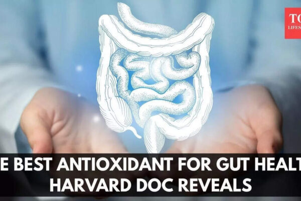 The best antioxidant for gut health, according to a Harvard doc |