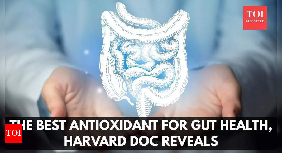 The best antioxidant for gut health, according to a Harvard doc |