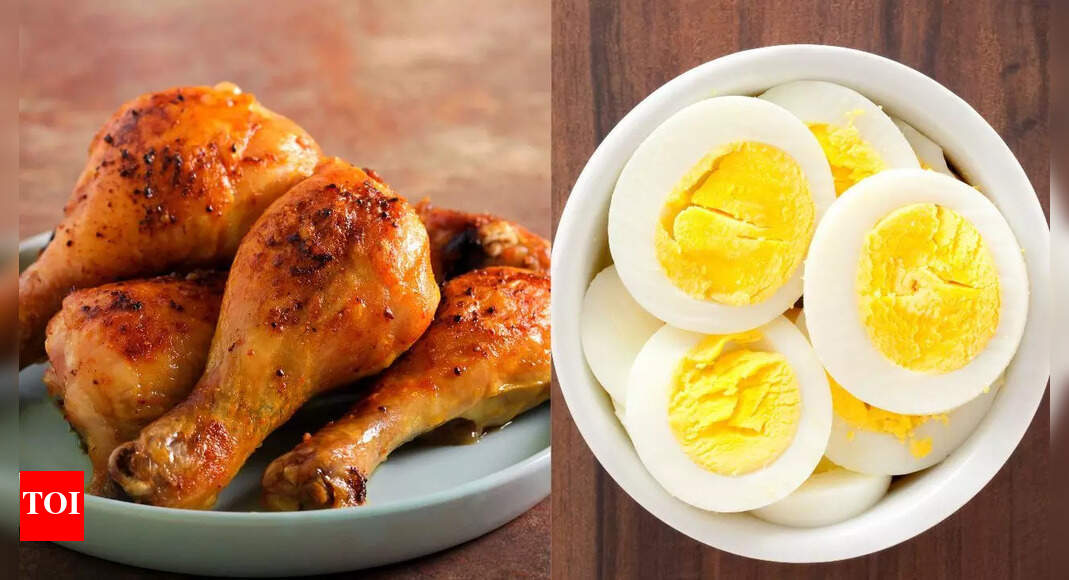 Chicken vs. Eggs: Which one is better for weight loss, muscle building, and overall health |
