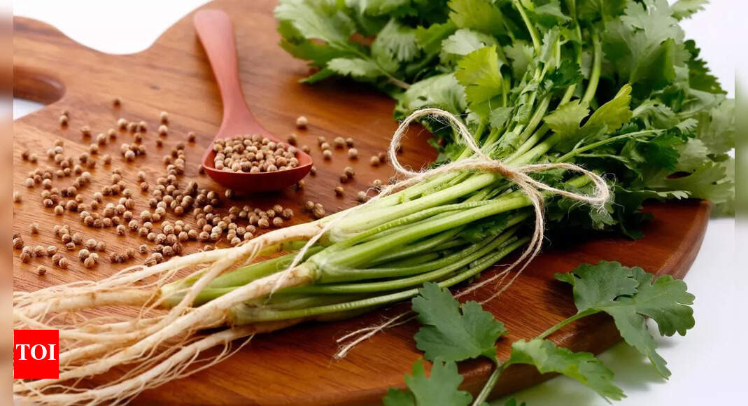 Why some people hate coriander: The science behind the soapy taste |
