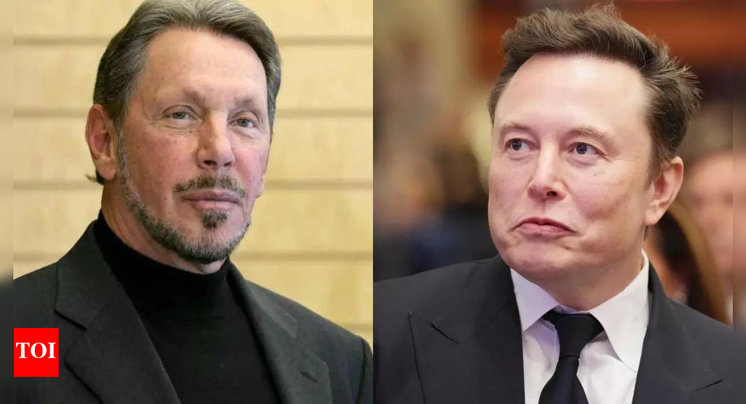 Tech company whose founder beat Elon Musk as world’s richest man for a day loses 30% in market value