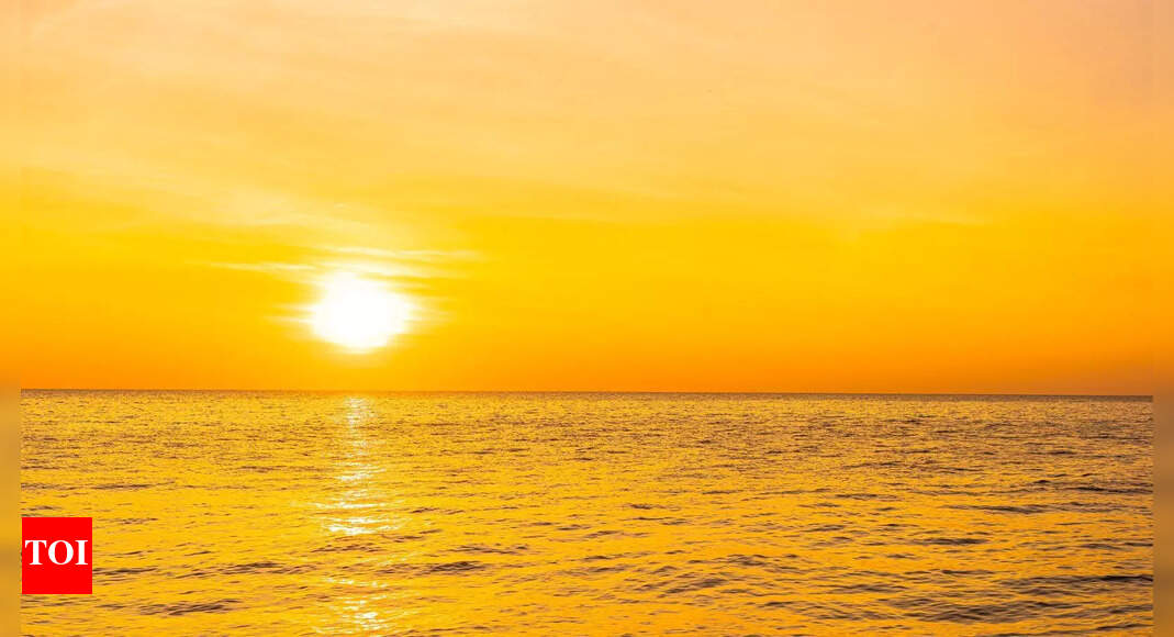 Sun Transit in Scorpio 2025: What it means for your zodiac sign