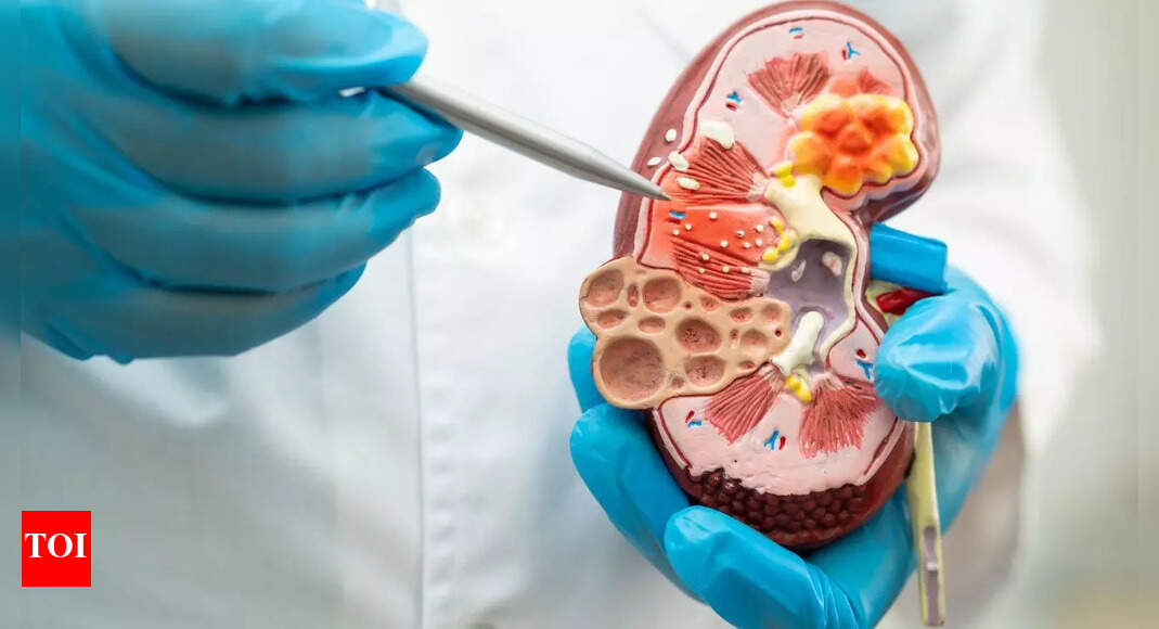 Understanding high creatinine levels: Causes, symptoms, and what they reveal about your kidney health |