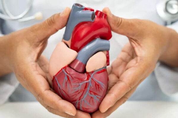 Diabetes to weight loss to heart defence: Ozempic and Mounjaro protect against strokes and heart attacks, finds study |