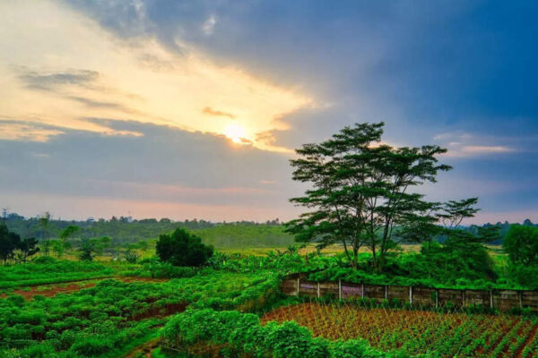 Morning sun vs afternoon sun: Which time supercharges your vitamin D levels the most |
