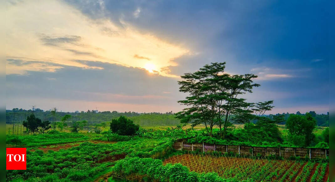Morning sun vs afternoon sun: Which time supercharges your vitamin D levels the most |