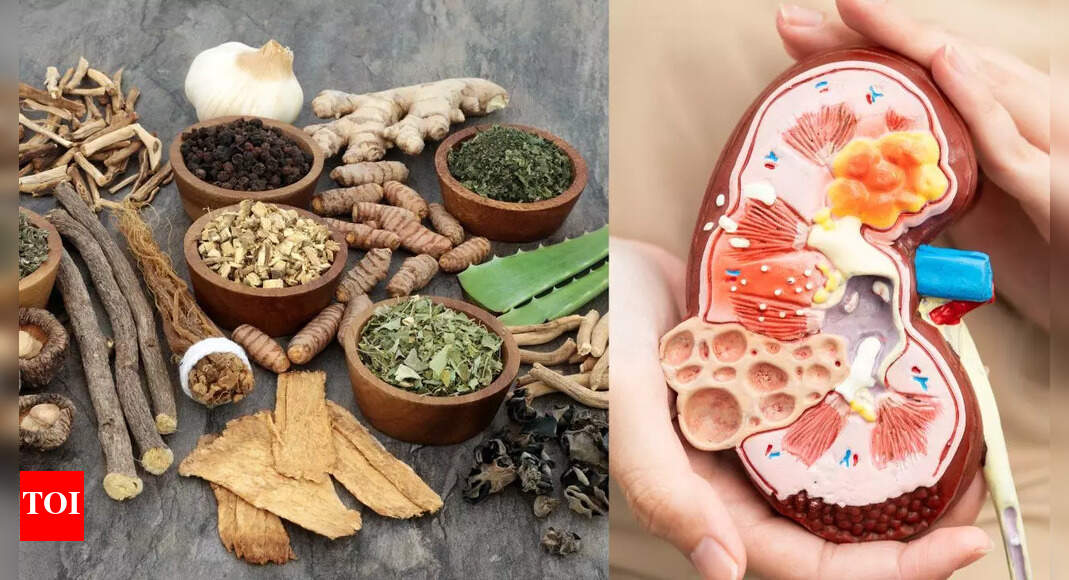 7 kidney-friendly herbs and spices that make your meals healthier and tastier |