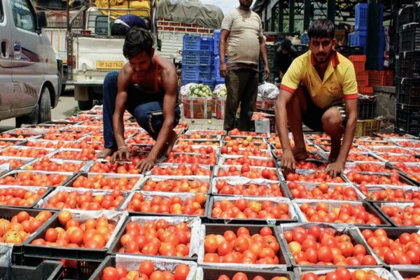 Food price outlook: Better monsoon, sowing to cool H2FY26 inflation; adverse base could lift FY27 rates