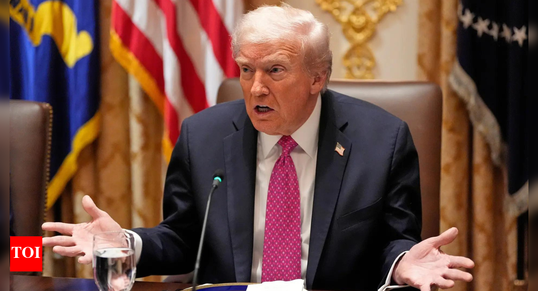 When will Americans receive ,000 tariff dividends? Donald Trump speaks out
