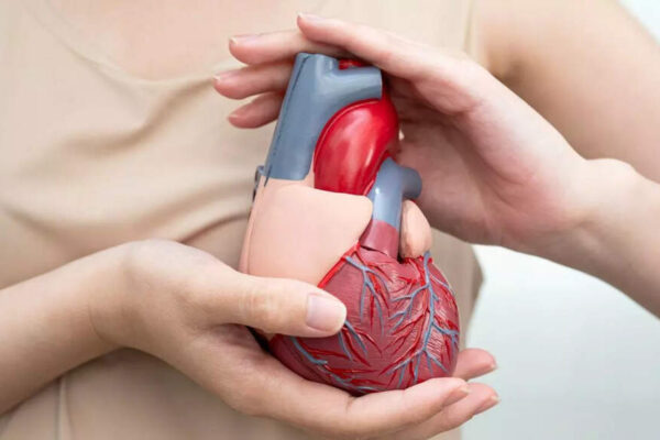 THIS forgotten gout drug could hold the key to prevent heart attacks and strokes; offering hope to millions at risk |