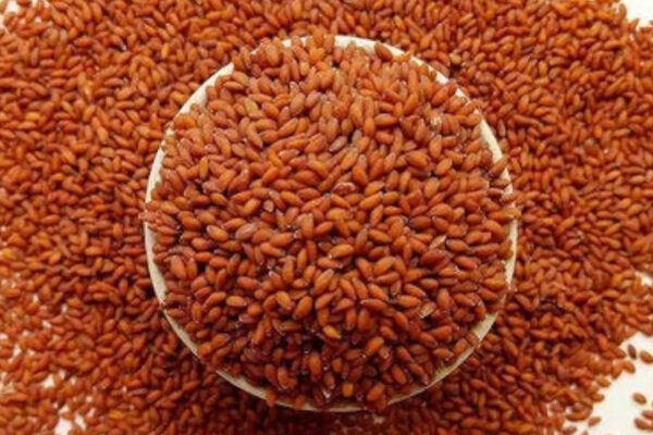 THIS tiny seed could be the superfood every vegetarian is missing! Boost iron, support RBC production, and enhance overall blood health |