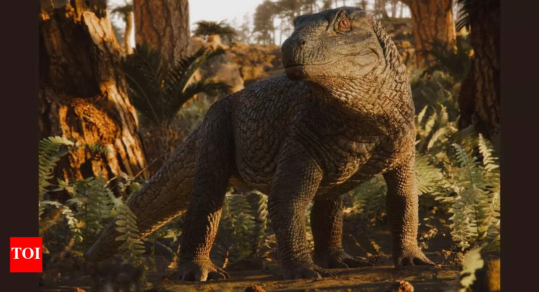 New warrior-like crocodile relative fossil found in Brazil reshapes Triassic predator evolution