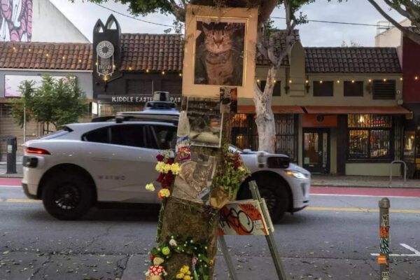 Why death of a cat has ‘shaken’ San Francisco and is troubling Google’s car service Waymo